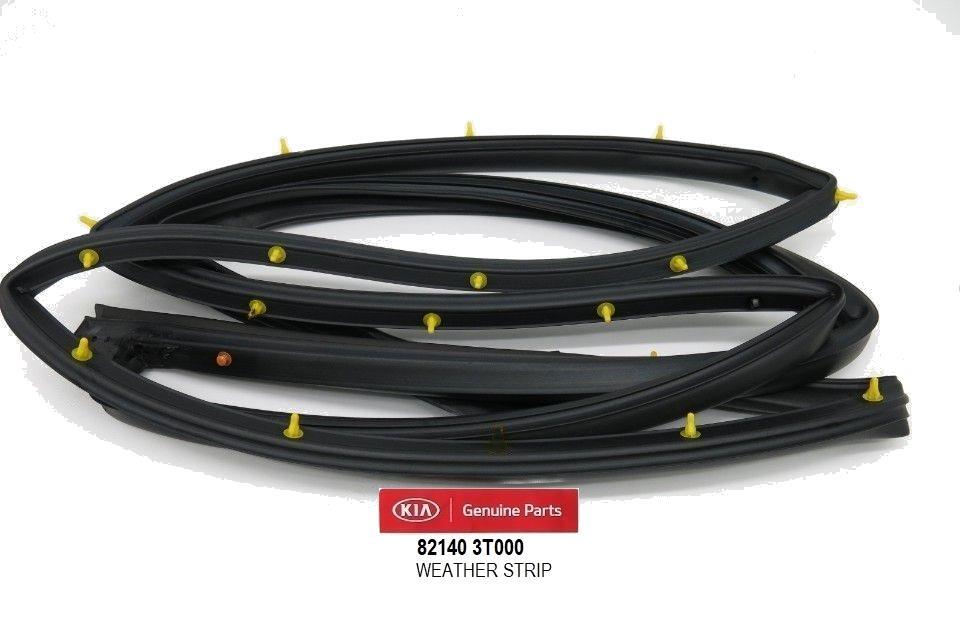 GENUINE 821403T000 Front Right Door Weather Strip for KIA K900 2015-2017