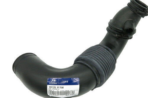 GENUINE 281391F250 HOSE-AIR INTAKE (B) for Hyundai & Kia
