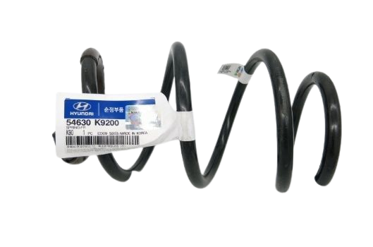 GENUINE 546302S05A Leaf & Coil Spring for Hyundai Kia