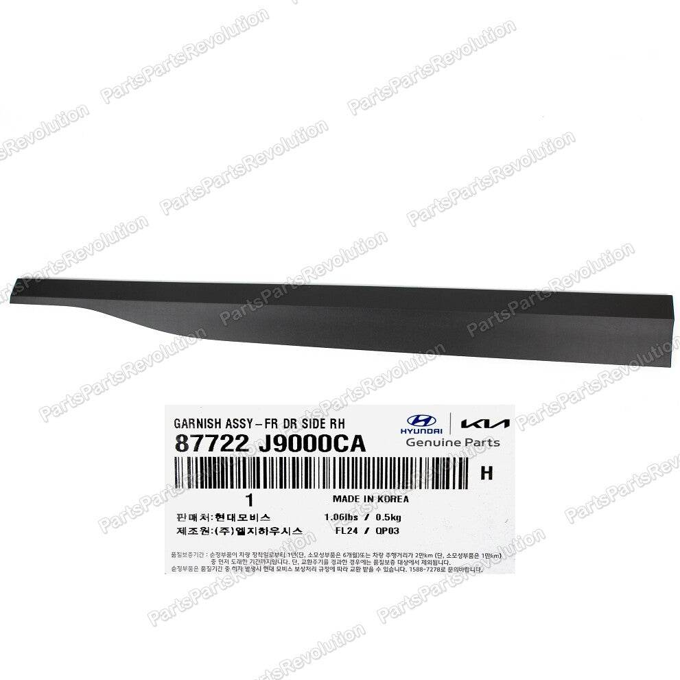 Door Molding Rear Lower Left 87722J9000CA for Hyundai Kona 2018-2020