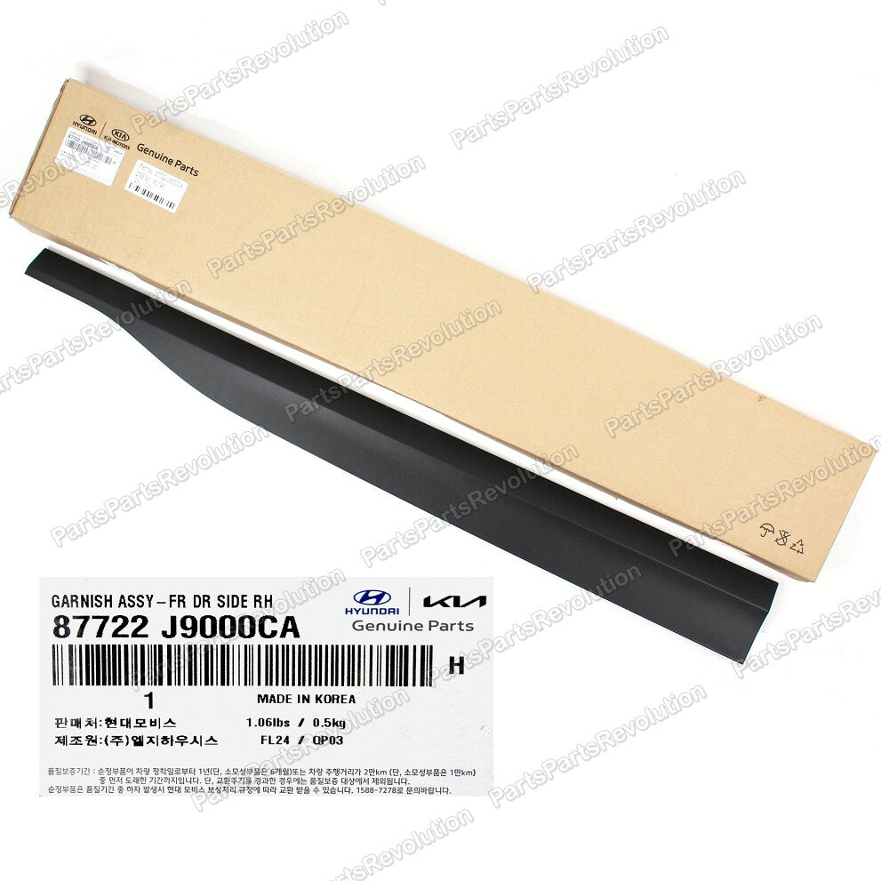 Door Molding Rear Lower Left 87722J9000CA for Hyundai Kona 2018-2020