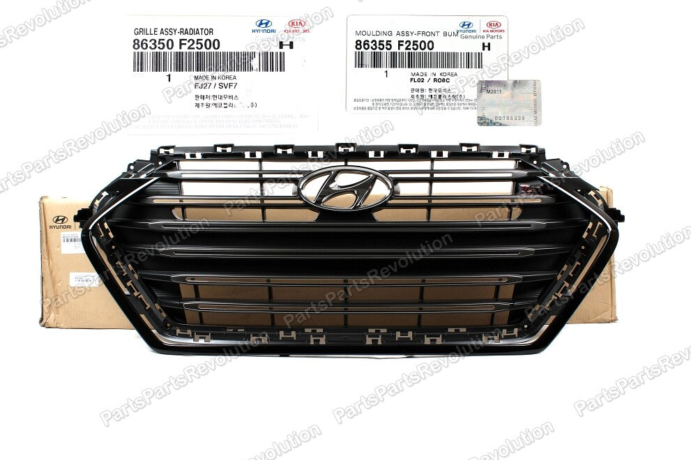Radiator Grille & Molding 86350F2500 for Hyundai Elantra 1.6L 2017-2018