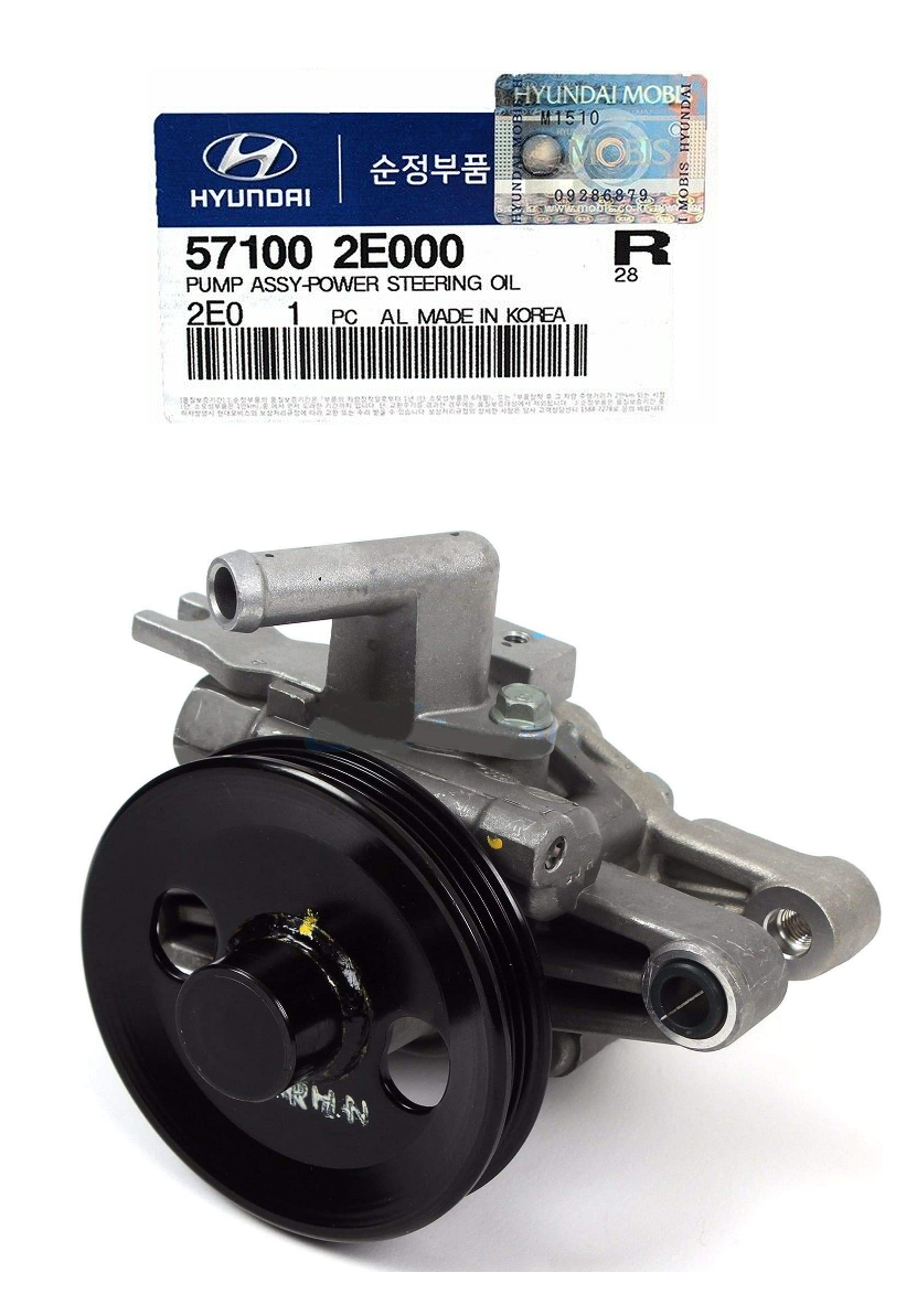 GENUINE 571002E000 Power Steering Pump Fits Hyundai 2.0L Tucson Sportage 05-10