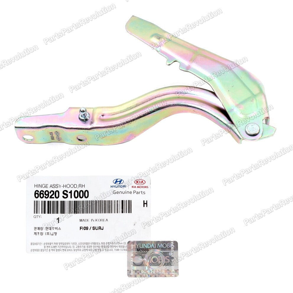 GENUINE Hood Hinge Right 66920S1000 for Hyundai SantaFe
