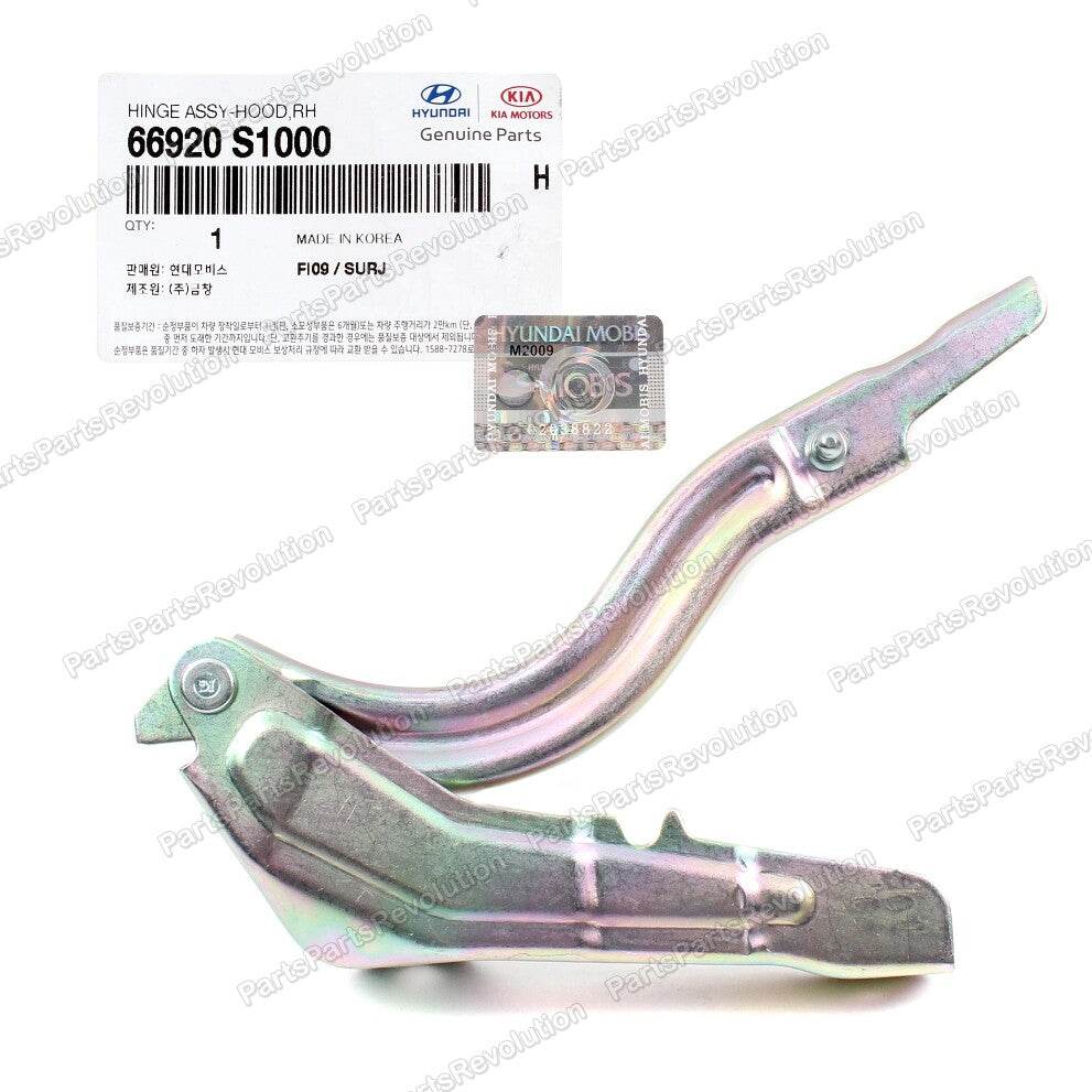 GENUINE Hood Hinge Right 66920S1000 for Hyundai SantaFe