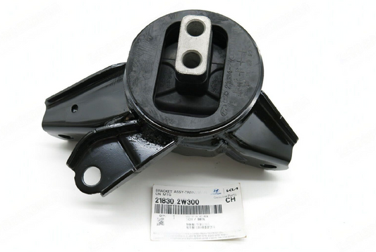 GENUINE 218302W300 Engine Mount Bracket for Hyundai Kia