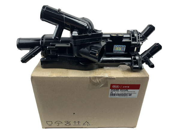 ⭐GENUINE Coolant Temperature Control Thermostat for Hyundai SantaFe 256002G545