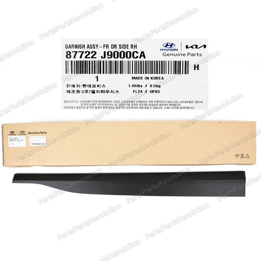 Door Molding Rear Lower Left 87722J9000CA for Hyundai Kona 2018-2020