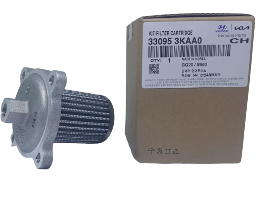 GENUINE 330953KAA0 LPG Fuel Filter Assy for Kia Opirus 2004-2011