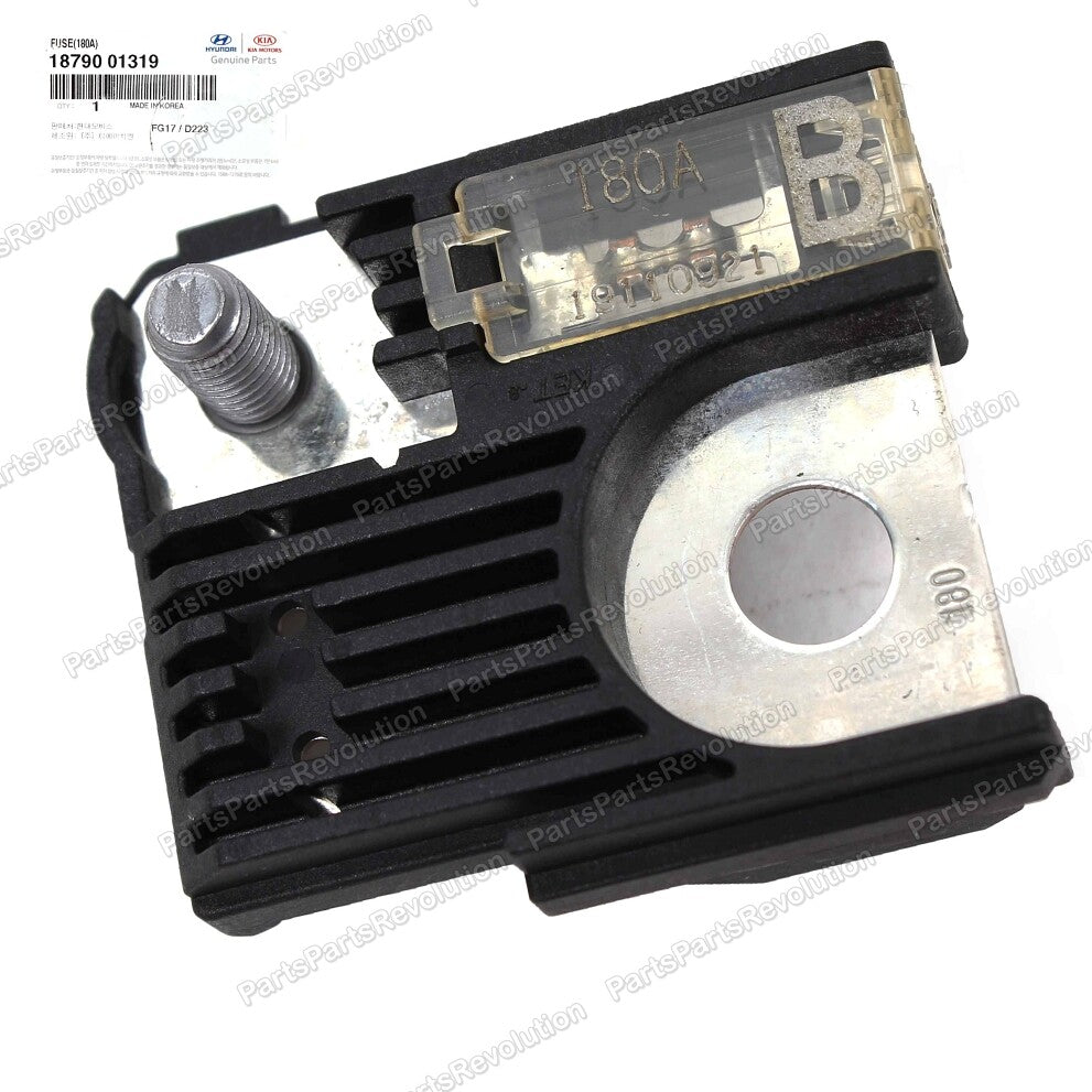 GENUINE NEW 1879001319 180Amp Battery Fuse w NUTS for Kia / Hyundai