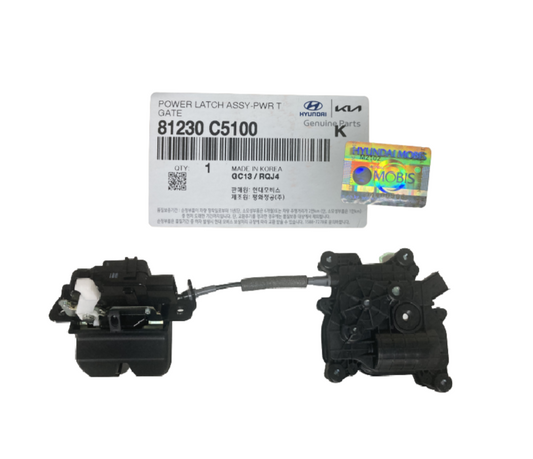 GENUINE Rear TailGate Latch Power Lift Actuator Motor Fits Sorento 81230C5100