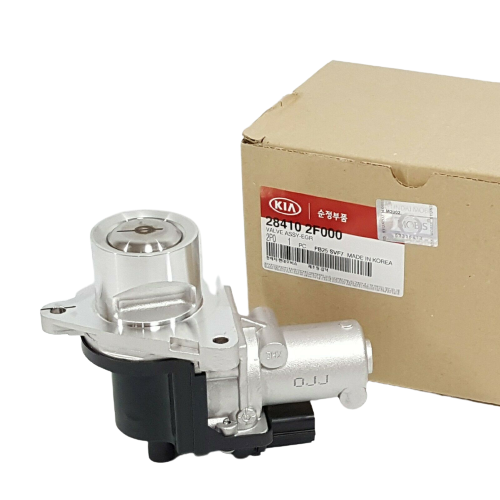 GENUINE 284102F000 EGR Valve with Gasket for Santa Fe Sorento Tuucson 2009-2013