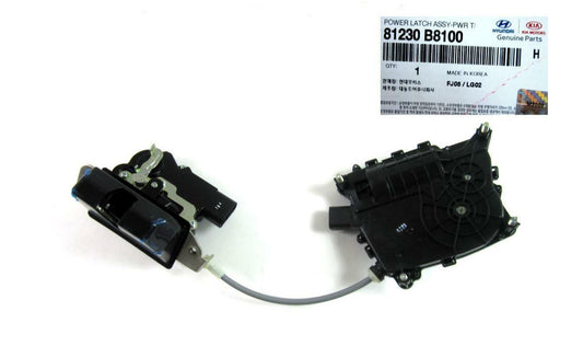 GENUINE Rear Tail Gate Latch LIFTGATE 13-19 SANTA FE 14-15 SORENTO 81230B8100